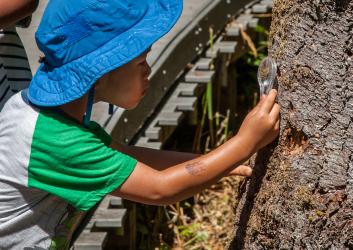 A child in a bright blue hat uses a magnifying glass to explore elements of a wetland environment.